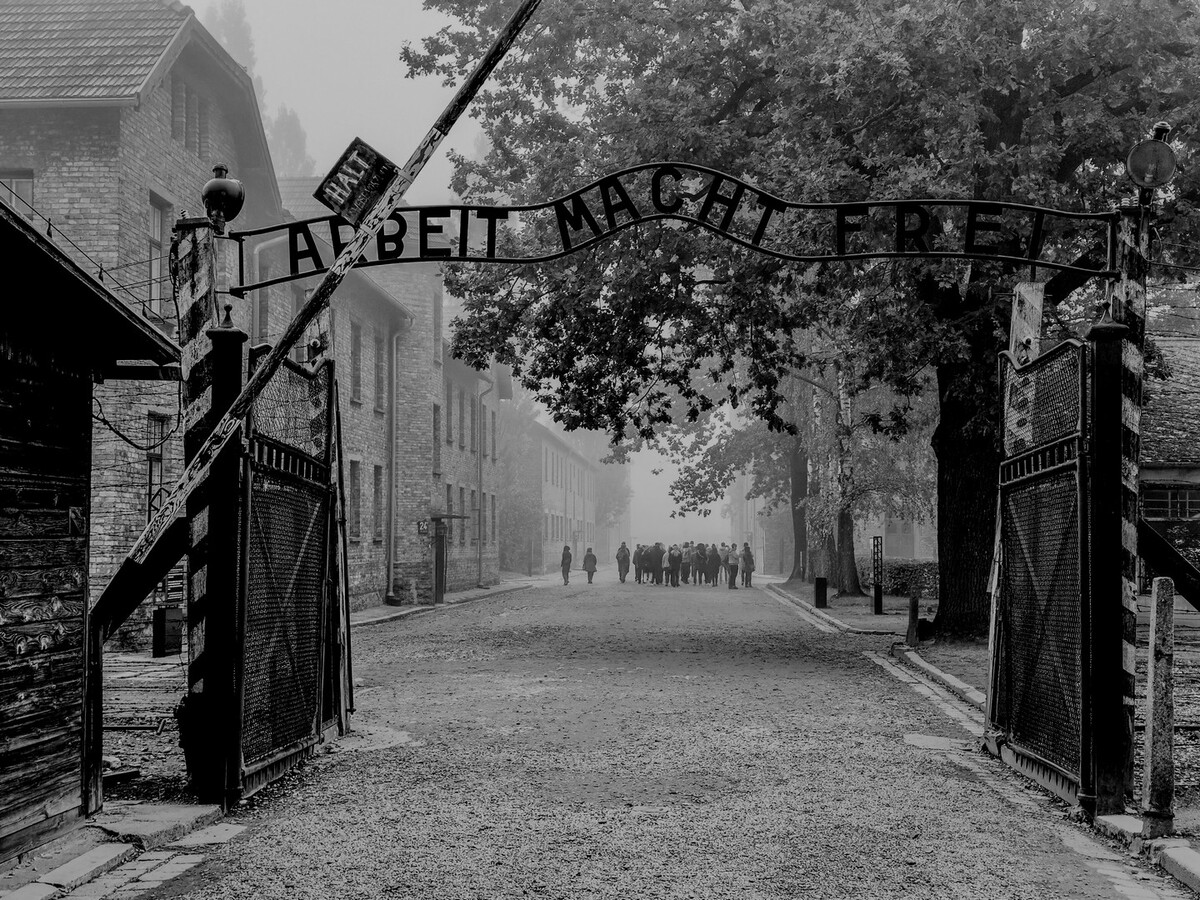 Nazi camps  Auschwitz